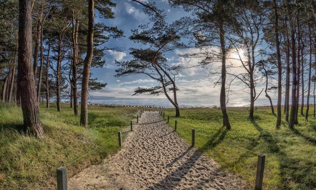 Direkt Am Strand Mit Meerblick Und Sauna - Fewo Strandidyll Binz Eksteriør billede